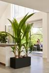 vivo next long 80cm living black